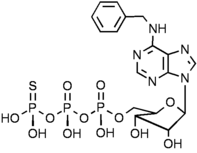 N6- Benzyladenosine- 5'- O- (3- thiotriphosphate) ( 6-Bn-ATP-γ-S )